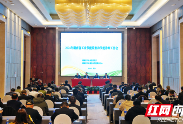 新型工业化向“绿”而行 2024年湖南省工业节能监察和节能诊断工作会召开