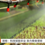 湖南：科技赋能农业 助力粮食增收