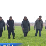 【在希望的田野上】各地抢抓农时 有序推进春季农业生产