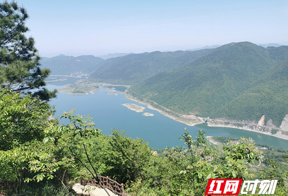 湖南石门：护林员巡山有固定“看护点”，从“有迹可查”到“有点可督”