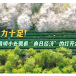 热力十足！从清明小长假看“春日经济”的打开方式