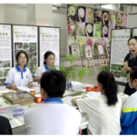 新化举办“蕨代风华”植物科普专题展