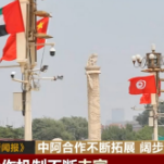 中国与阿拉伯国家之间关系持续深化 中阿合作不断拓展、阔步前行