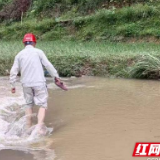 防汛保电丨国网湖南电力：积极应对特大暴雨汛情 已排查隐患1110条