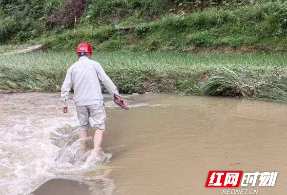 防汛保电丨国网湖南电力：积极应对特大暴雨汛情 已排查隐患1110条