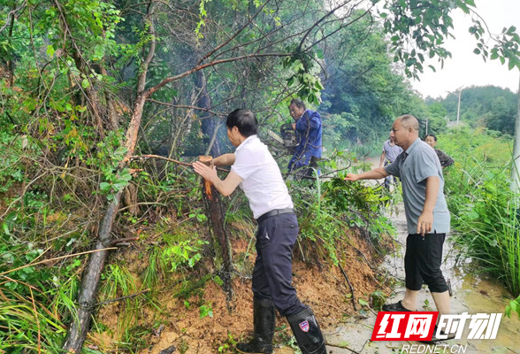 人大代表防汛抗灾 ，筑牢“安全堤”