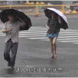 新华全媒+｜福州：众志成城筑牢“防汛屏障”
