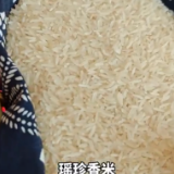 特写湖南·现场丨如何让中国碗多装“湖南粮” 代表有妙招