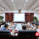 陈淼主持召开岳阳江山赋高端房地产项目设计方案汇报会