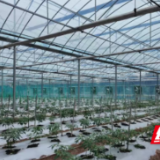 变“废”为“宝”,君山蔬菜科技产业园“蚯蚓粪”破解秸秆处理难题