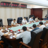 曾平原主持召开岳阳楼区数字产业发展工作调度会