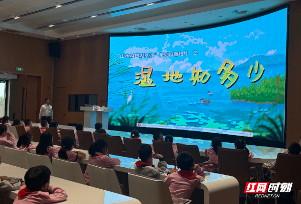 岳阳自然教育课走进博物馆