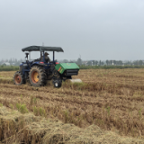 屈原管理区凤凰乡：秸秆打捆离田 变废为宝助循环