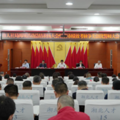 展佳绩 立新功 岳阳市人社系统聚力攻坚谋新篇