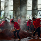 “下沙” 生产启动!探秘岳阳楼酒“12987”酱香酿造技艺