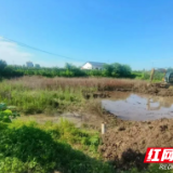 进度突破90%!君山区“小农水”建设全力冲刺