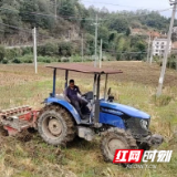 平江县童市镇多措并举推进秸秆禁烧与综合利用 守护蓝天沃土见成效