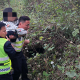 岳阳高速:35分钟极速救援点亮生命之光