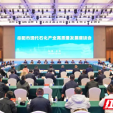 岳阳市召开现代石化产业高质量发展座谈会