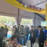 “岳动长三角”产销对接大会成功举办 意向金额突破3亿元