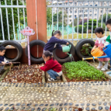 岳阳楼区童之梦幼儿园启动“三爱”好习惯养成教育活动,促进幼儿全面发展