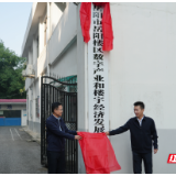 岳阳楼区数字产业和楼宇经济发展中心正式揭牌成立