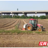 屈原管理区河市镇:夯实秋冬种根基 绘就来年丰收图