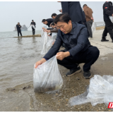 86万尾鱼苗跃入湘江 屈原管理区开展增殖放流活动