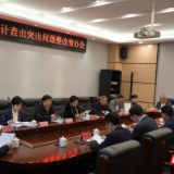 刘晓英率队来岳阳楼区调研审计查出问题整改工作