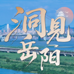 洞见岳阳丨守护好东亚候鸟迁飞的“中国驿站”