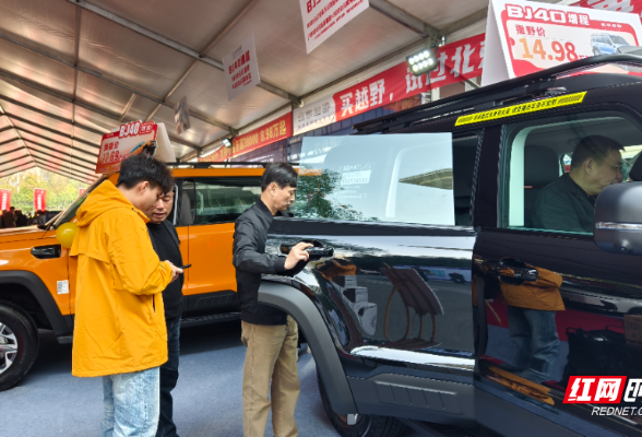 视频丨2025岳阳冬季车展开幕 惠民购车盛宴持续至11月16日