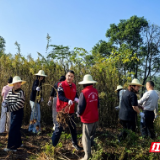 检察蓝守护生态绿 ——汨罗市检察院开展生态保护主题党日活动