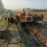 十日攻坚!湘阴县南湖洲镇实现全域火点与存量秸秆“双清零”