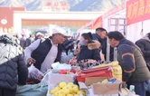 直击2025桑日县“秀美铜山·金彩桑日”物交会现场