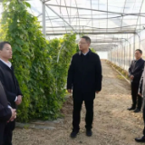 谢卫江在平江县调研督导巩固拓展脱贫攻坚成果同乡村振兴有效衔接工作