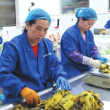 超额完成!岳阳脱贫人口务工规模已达12.03万人