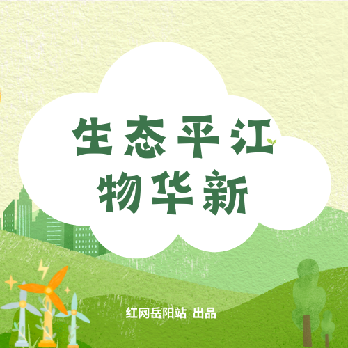 生态平江物华新⑫丨菊园十二载,青山绽芳华