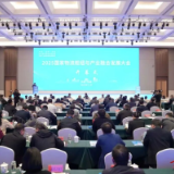 2025国家物流枢纽与产业融合发展大会在岳阳举行