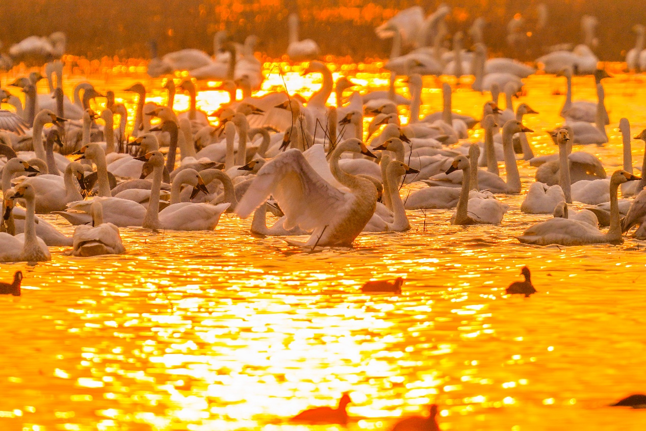 图片6.png 图片6.png