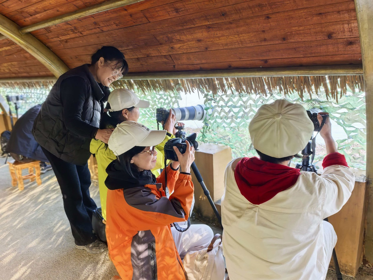 图片2.png 图片2.png