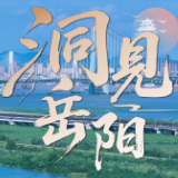 洞见岳阳丨城陵矶港,一枚楔入全球贸易链的内陆“制度创新”尖兵