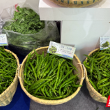 视频丨农博会上“鲜”声夺人 君山农垦何以“征服”大湾区“岳动”长三角?