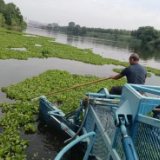 岳阳铁腕治水 打赢水葫芦清剿攻坚战
