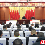 岳阳市人社局举行学习贯彻党的二十届四中全会精神市委宣讲团报告会