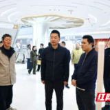 陈淼调研家宁城市广场运营工作