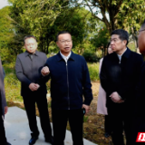 陈阁辉调研岳阳楼区农口、民政、供销社工作