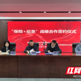 岳阳人保财险：政企协同筑屏障 保险赋能护安全