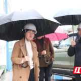 雷欣开展君山区节前安全生产检查