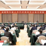 谢卫江参加平江县代表团审议