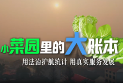 视频丨小菜园里的大账本